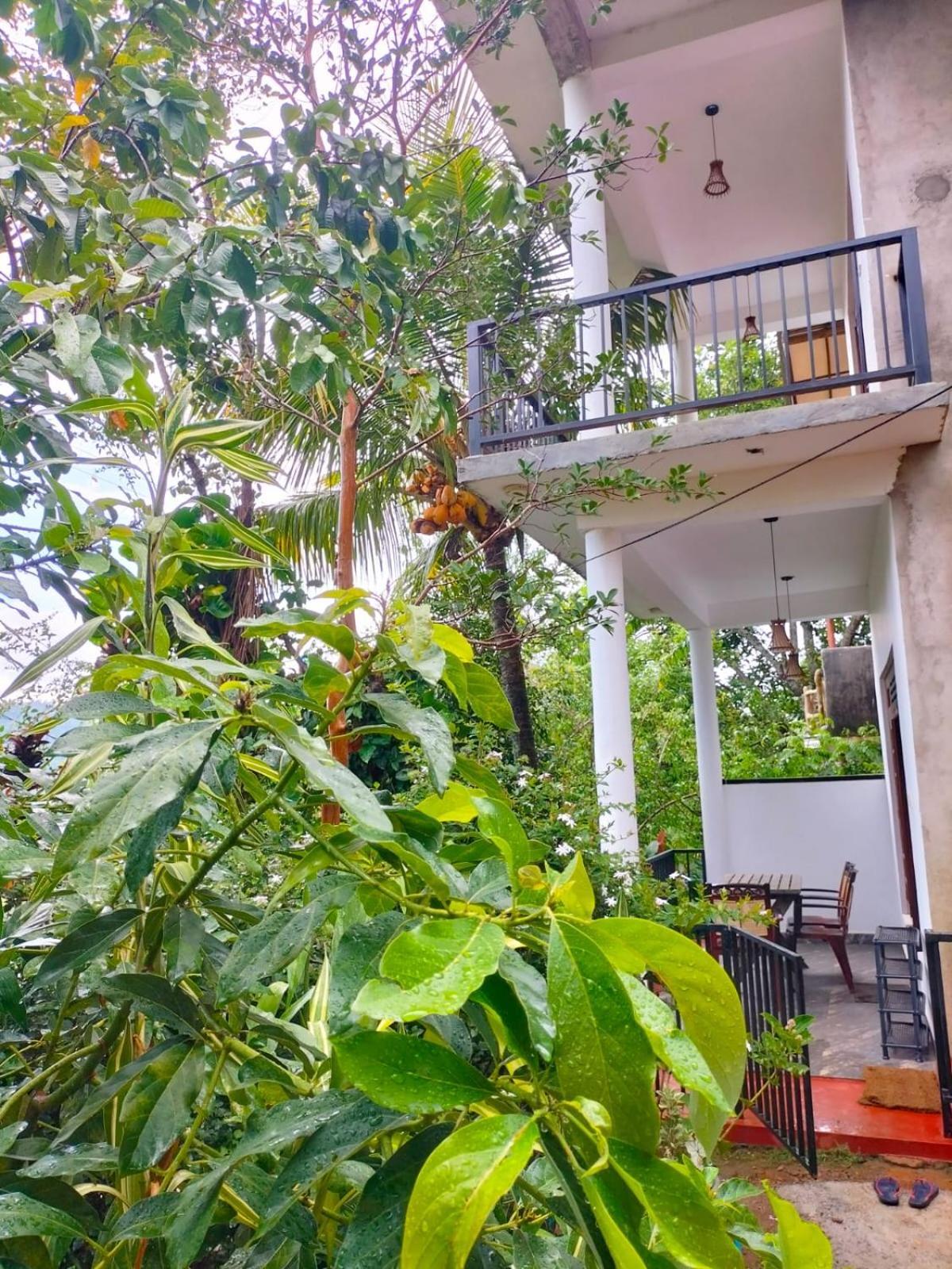 Ella Cloud Castle Homestay Esterno foto